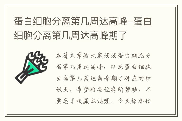 蛋白细胞分离第几周达高峰-蛋白细胞分离第几周达高峰期了