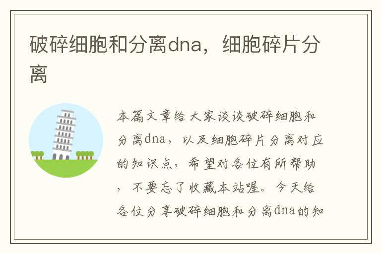 破碎细胞和分离dna，细胞碎片分离