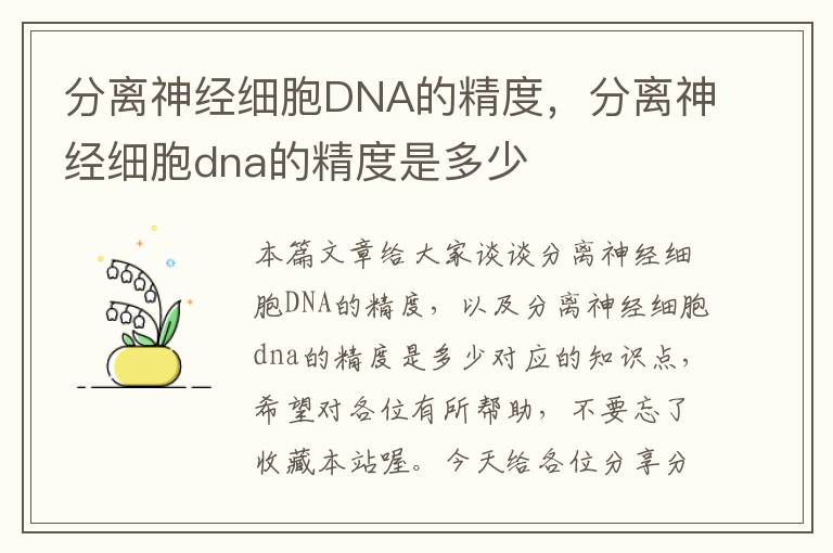 分离神经细胞DNA的精度，分离神经细胞dna的精度是多少