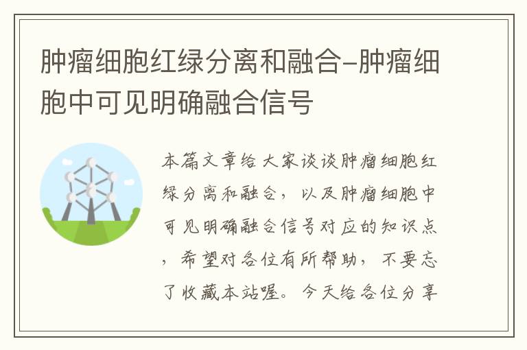 肿瘤细胞红绿分离和融合-肿瘤细胞中可见明确融合信号