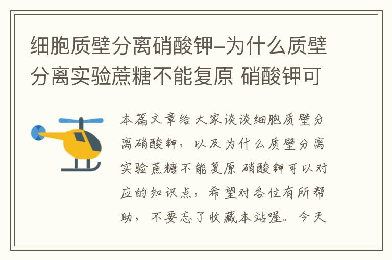 细胞质壁分离硝酸钾-为什么质壁分离实验蔗糖不能复原 硝酸钾可以