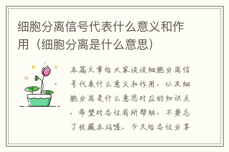 细胞分离信号代表什么意义和作用（细胞分离是什么意思）