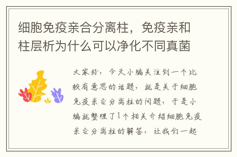 细胞免疫亲合分离柱，免疫亲和柱层析为什么可以净化不同真菌毒素