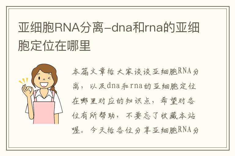 亚细胞RNA分离-dna和rna的亚细胞定位在哪里