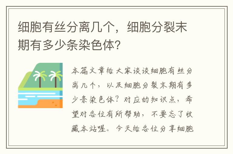 细胞有丝分离几个，细胞分裂末期有多少条染色体？