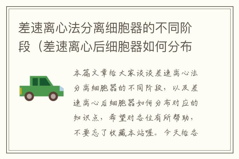 差速离心法分离细胞器的不同阶段（差速离心后细胞器如何分布）