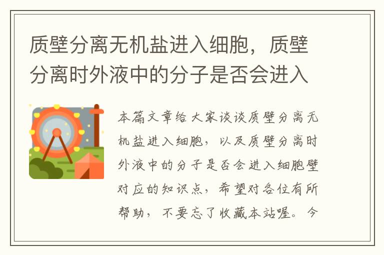 质壁分离无机盐进入细胞，质壁分离时外液中的分子是否会进入细胞壁