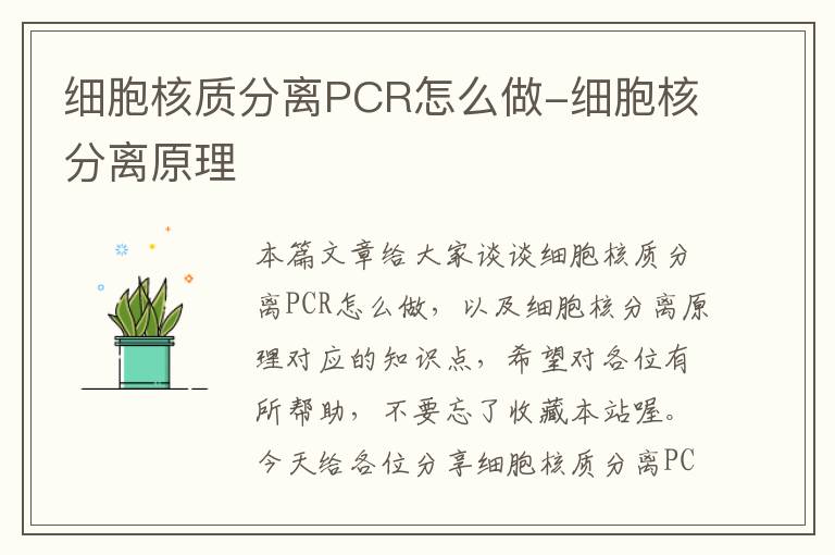 细胞核质分离PCR怎么做-细胞核分离原理