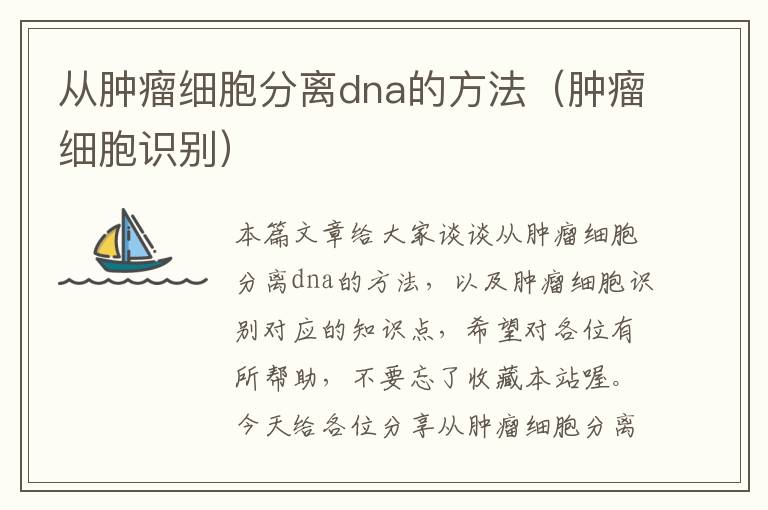 从肿瘤细胞分离dna的方法（肿瘤细胞识别）