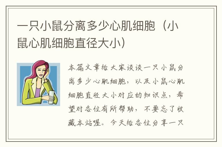 一只小鼠分离多少心肌细胞（小鼠心肌细胞直径大小）