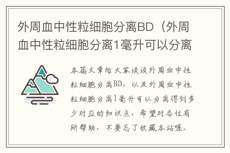 外周血中性粒细胞分离BD（外周血中性粒细胞分离1毫升可以分离得到多少）