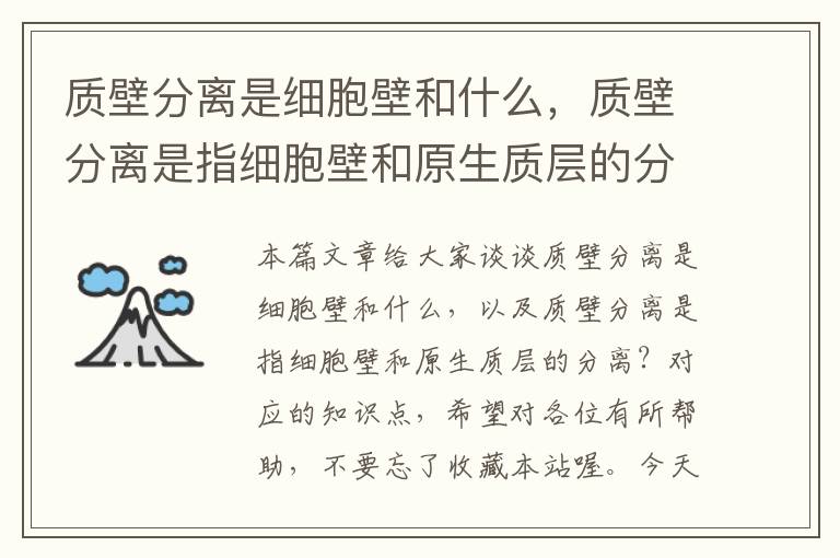 质壁分离是细胞壁和什么，质壁分离是指细胞壁和原生质层的分离？