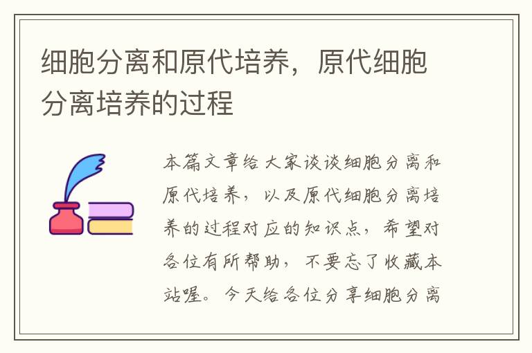 细胞分离和原代培养，原代细胞分离培养的过程