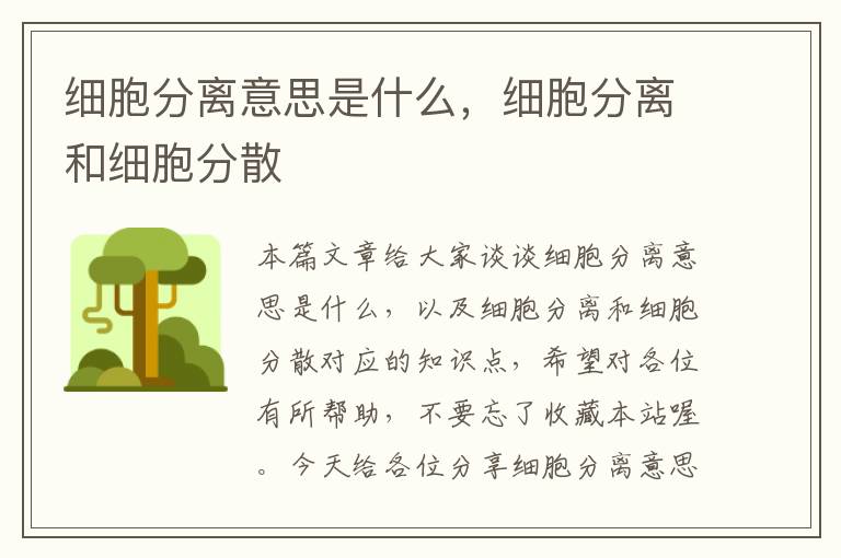 细胞分离意思是什么，细胞分离和细胞分散