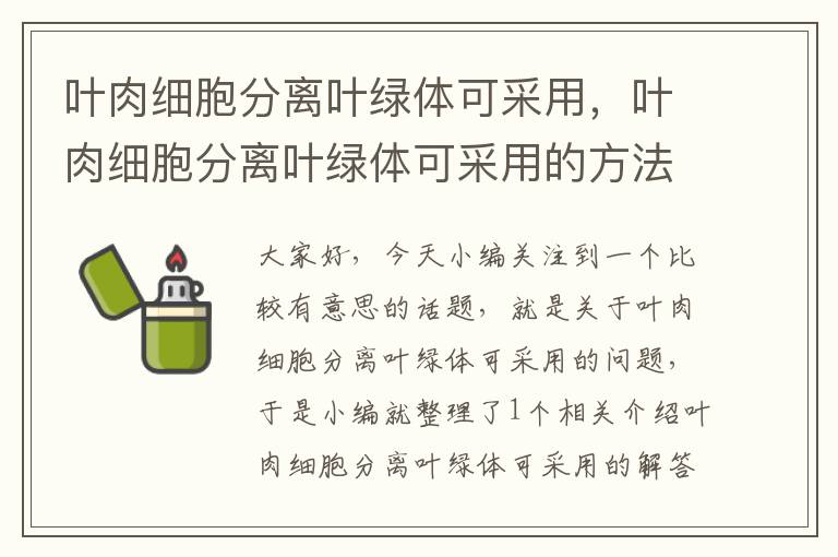 叶肉细胞分离叶绿体可采用，叶肉细胞分离叶绿体可采用的方法