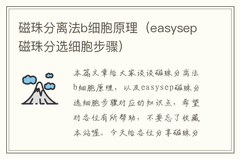 磁珠分离法b细胞原理（easysep磁珠分选细胞步骤）