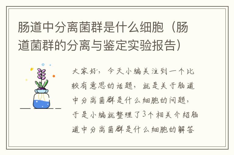 肠道中分离菌群是什么细胞（肠道菌群的分离与鉴定实验报告）