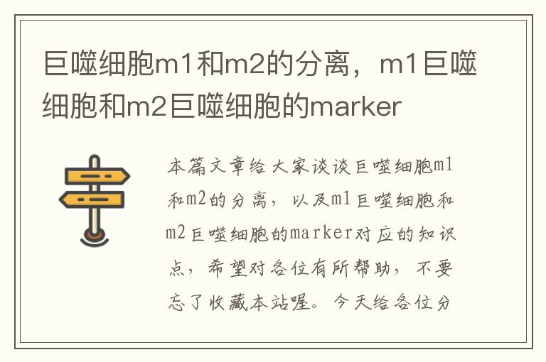 巨噬细胞m1和m2的分离，m1巨噬细胞和m2巨噬细胞的marker