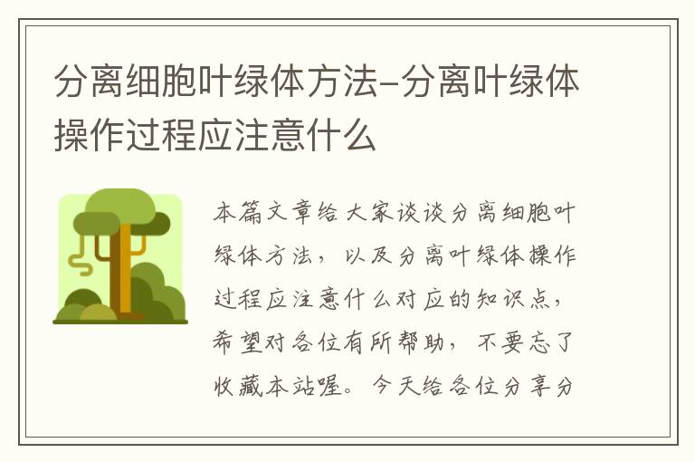 分离细胞叶绿体方法-分离叶绿体操作过程应注意什么