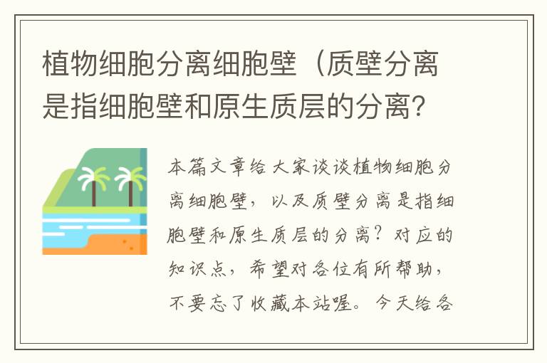 植物细胞分离细胞壁（质壁分离是指细胞壁和原生质层的分离？）