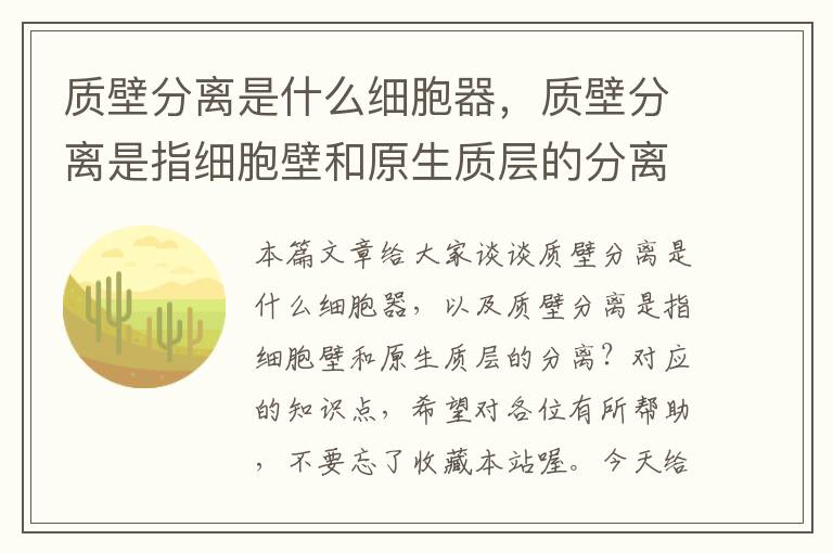 质壁分离是什么细胞器，质壁分离是指细胞壁和原生质层的分离？