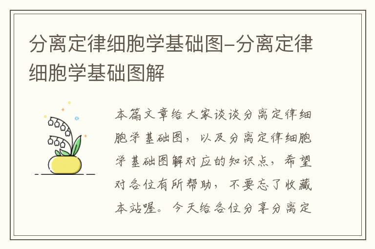 分离定律细胞学基础图-分离定律细胞学基础图解