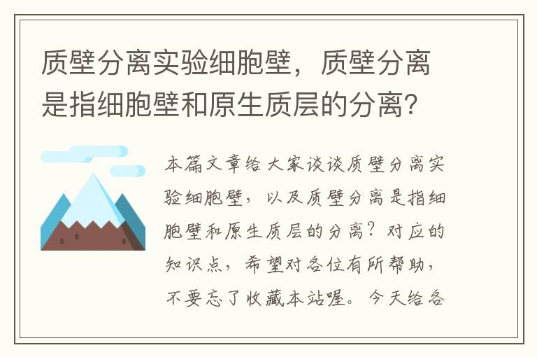 质壁分离实验细胞壁，质壁分离是指细胞壁和原生质层的分离？