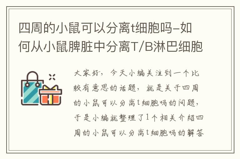 四周的小鼠可以分离t细胞吗-如何从小鼠脾脏中分离T/B淋巴细胞