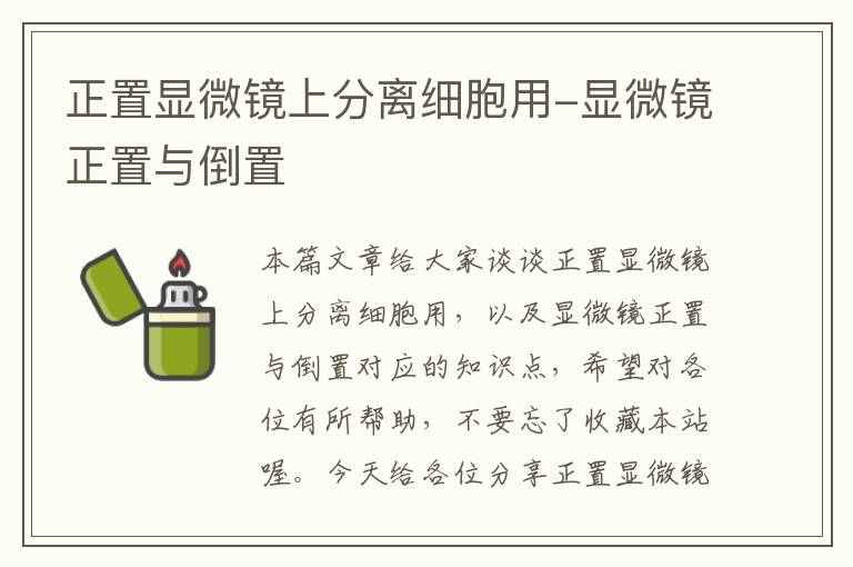 正置显微镜上分离细胞用-显微镜正置与倒置