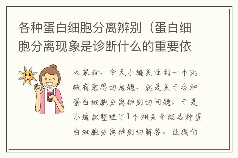 各种蛋白细胞分离辨别（蛋白细胞分离现象是诊断什么的重要依据）