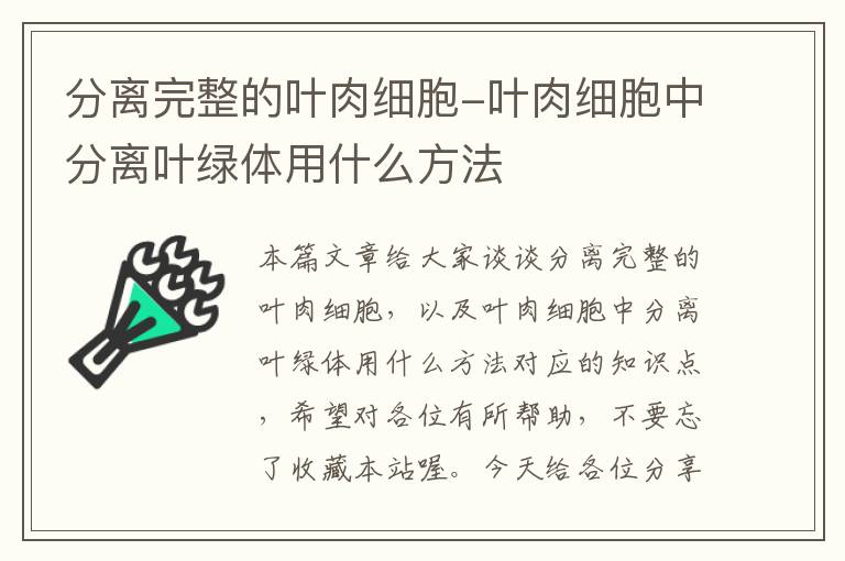 分离完整的叶肉细胞-叶肉细胞中分离叶绿体用什么方法