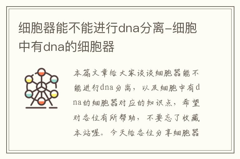 细胞器能不能进行dna分离-细胞中有dna的细胞器