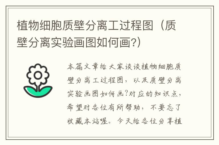 植物细胞质壁分离工过程图（质壁分离实验画图如何画?）