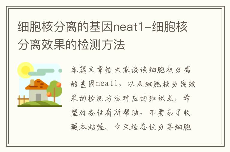 细胞核分离的基因neat1-细胞核分离效果的检测方法