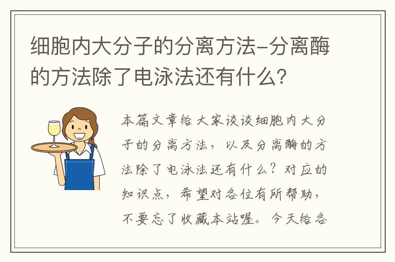 细胞内大分子的分离方法-分离酶的方法除了电泳法还有什么？