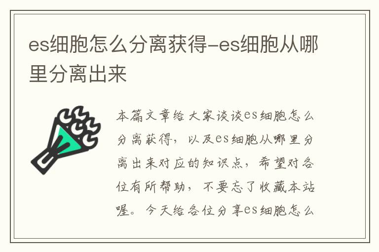 es细胞怎么分离获得-es细胞从哪里分离出来