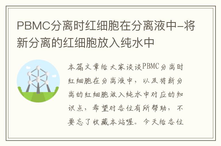 PBMC分离时红细胞在分离液中-将新分离的红细胞放入纯水中