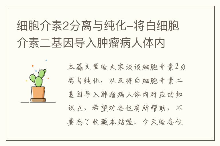 细胞介素2分离与纯化-将白细胞介素二基因导入肿瘤病人体内