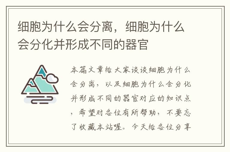 细胞为什么会分离，细胞为什么会分化并形成不同的器官