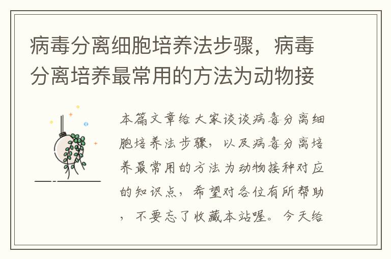 病毒分离细胞培养法步骤，病毒分离培养最常用的方法为动物接种