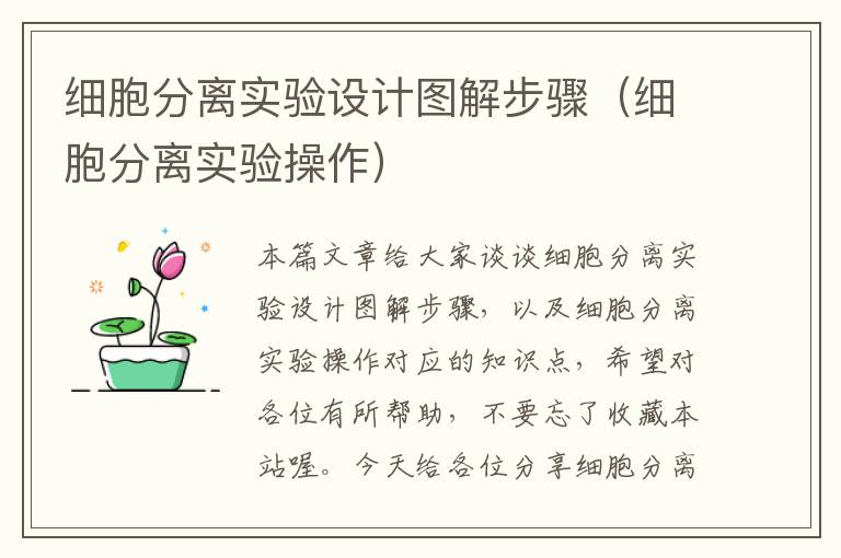 细胞分离实验设计图解步骤（细胞分离实验操作）