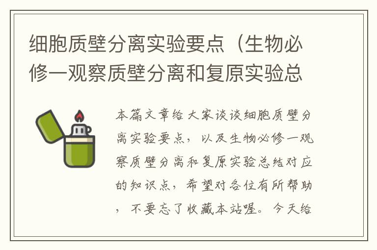 细胞质壁分离实验要点（生物必修一观察质壁分离和复原实验总结）