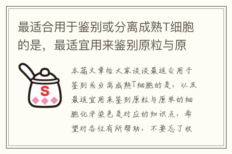 最适合用于鉴别或分离成熟T细胞的是，最适宜用来鉴别原粒与原单的细胞化学染色是