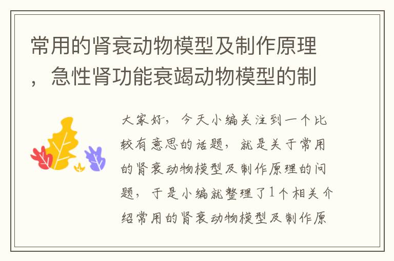 常用的肾衰动物模型及制作原理，急性肾功能衰竭动物模型的制备