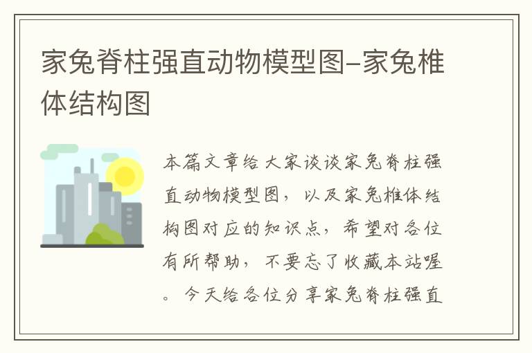 家兔脊柱强直动物模型图-家兔椎体结构图