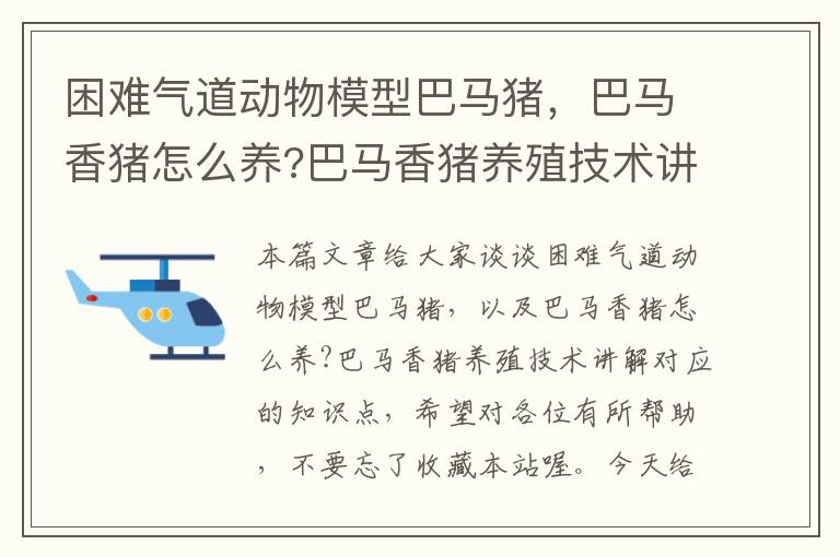 困难气道动物模型巴马猪，巴马香猪怎么养?巴马香猪养殖技术讲解