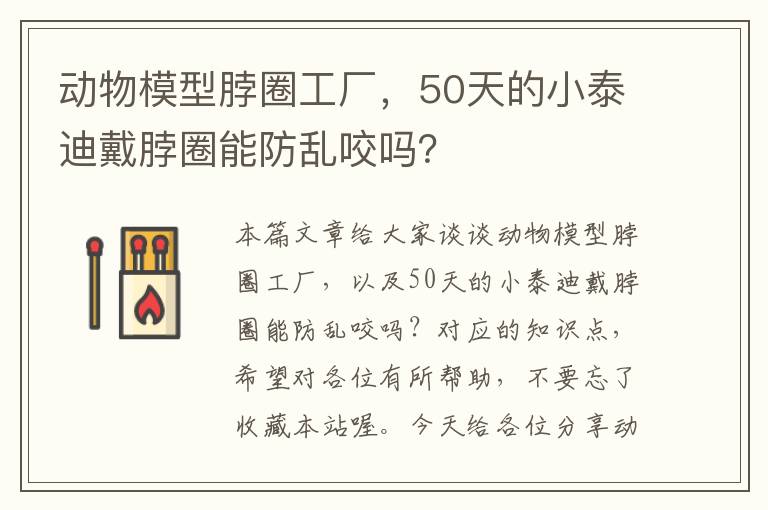 动物模型脖圈工厂，50天的小泰迪戴脖圈能防乱咬吗？