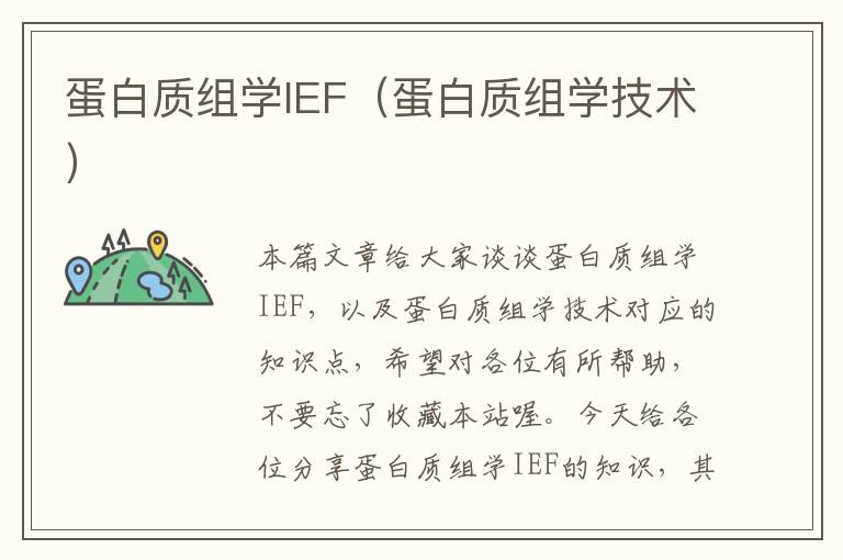 蛋白质组学IEF（蛋白质组学技术）