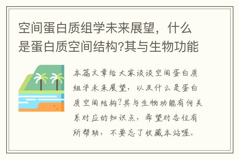 空间蛋白质组学未来展望，什么是蛋白质空间结构?其与生物功能有何关系