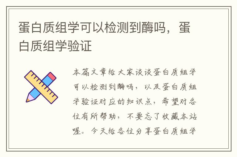 蛋白质组学可以检测到酶吗，蛋白质组学验证